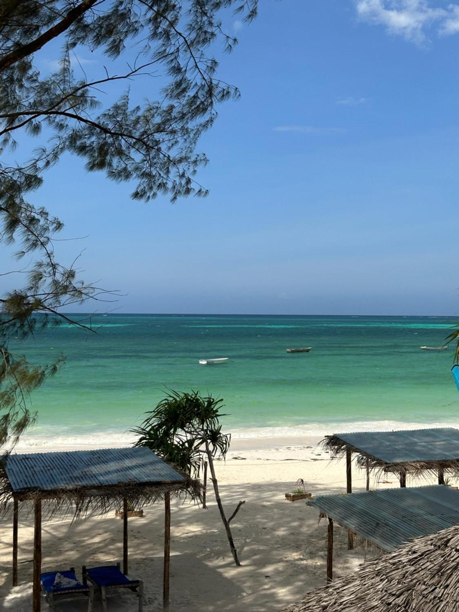 Kiwengwa Bungalow Boutique Resort Eksteriør billede
